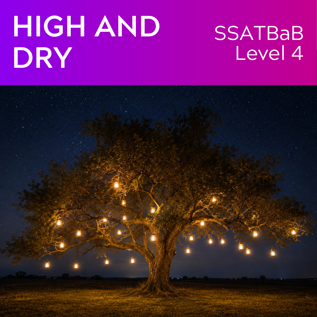 High and Dry (SSATBaB - L4)