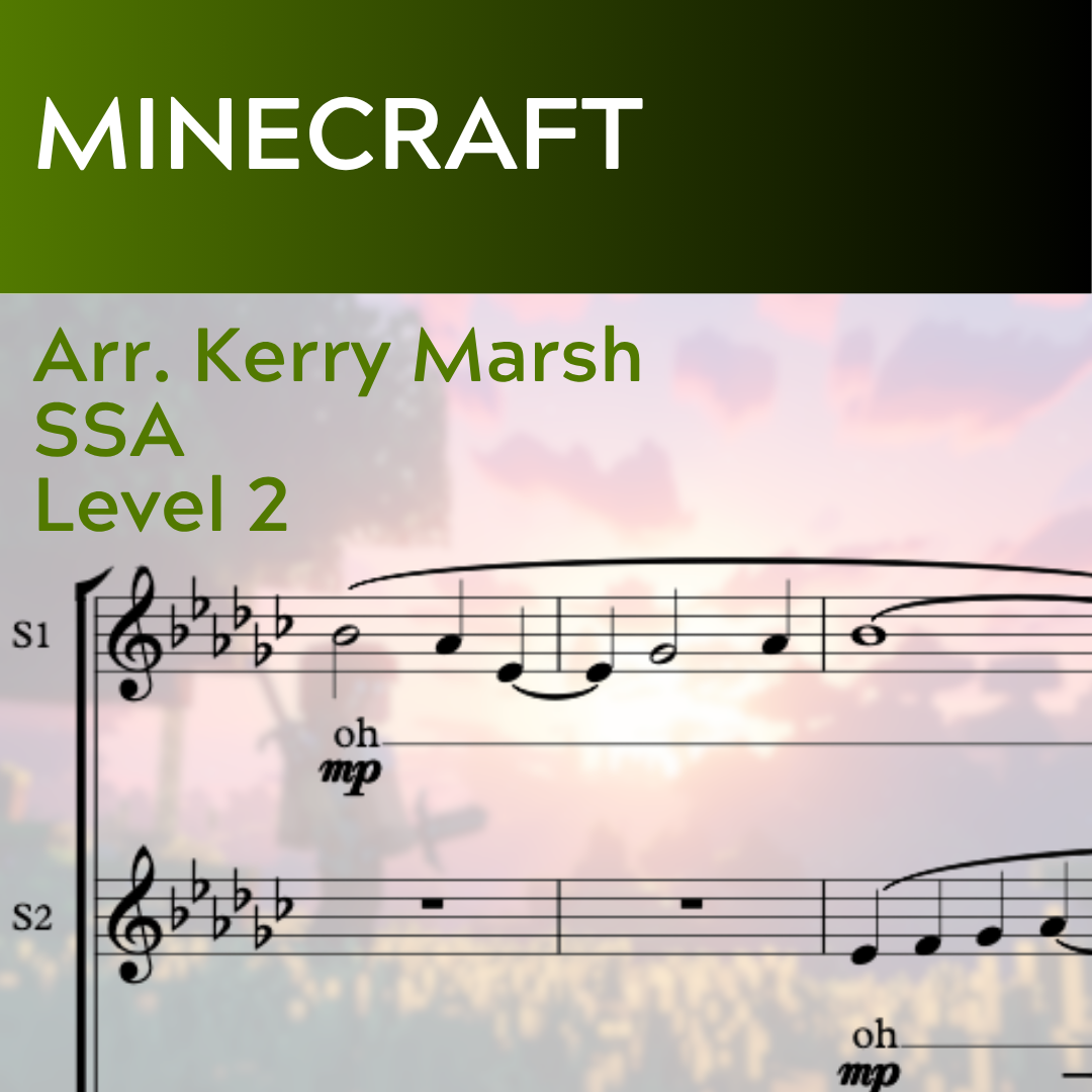 Minecraft (SSA - L2)