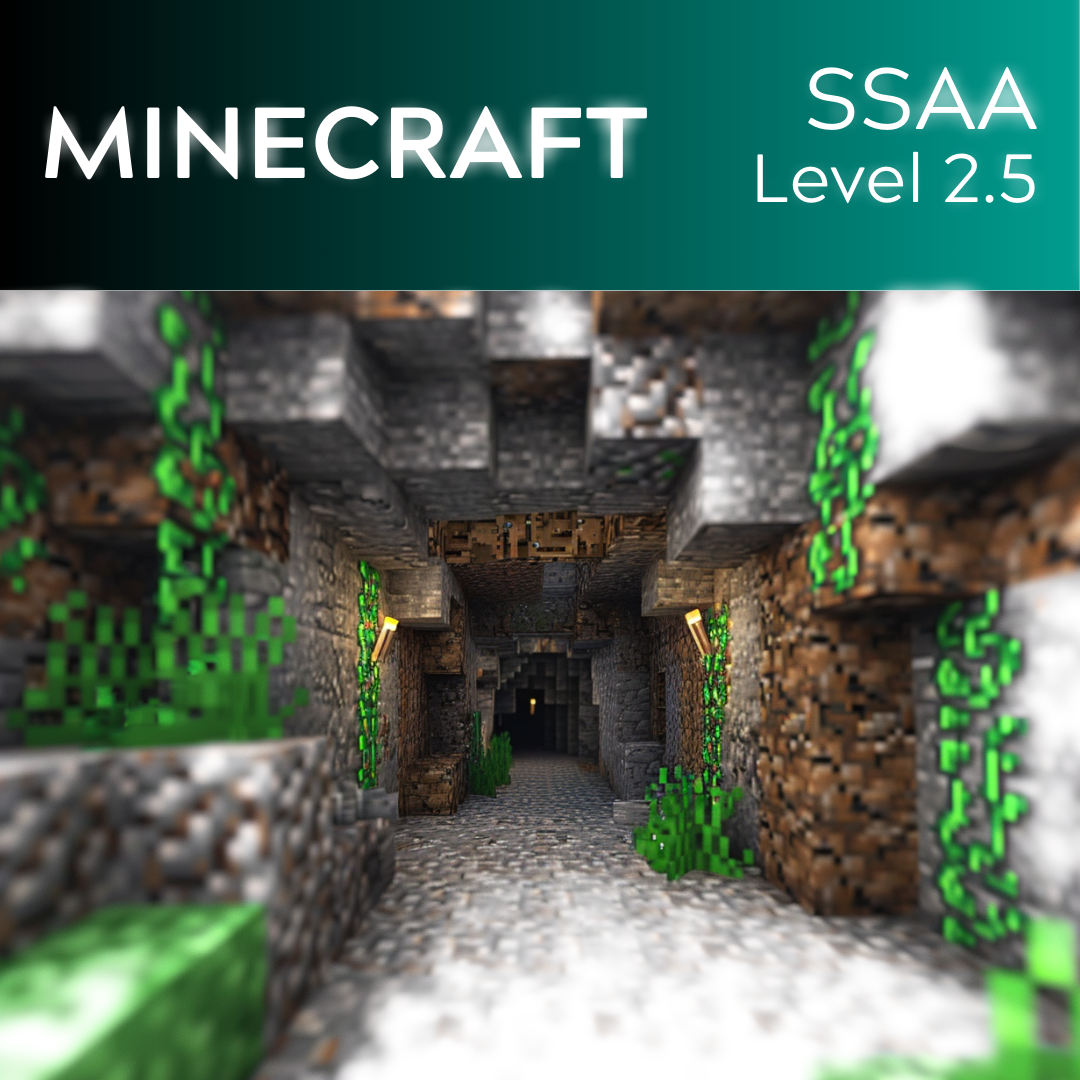 Minecraft (SSAA - L2.5)