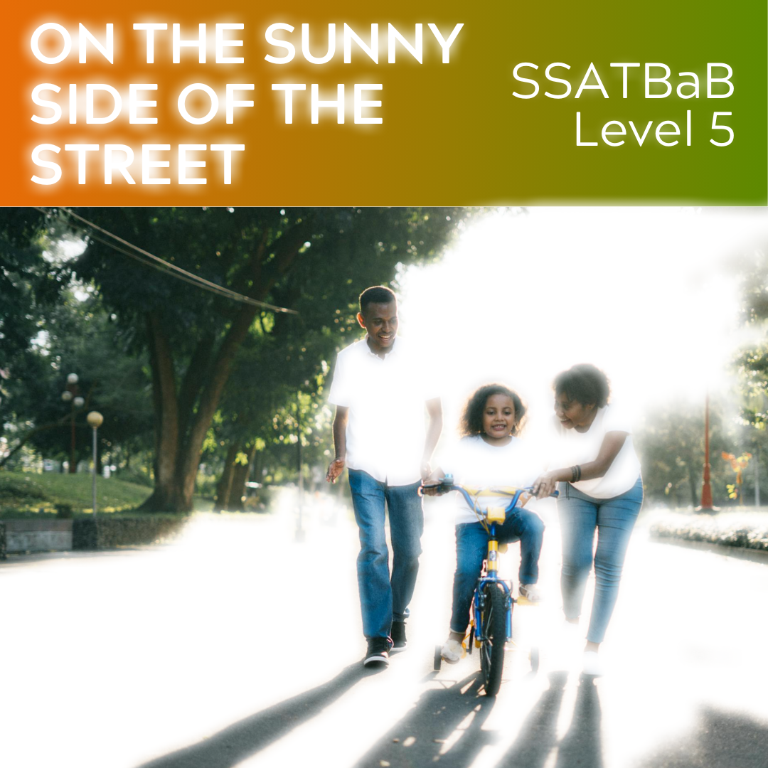Auf der Sonnenseite der Straße (SSATBaB - L5)