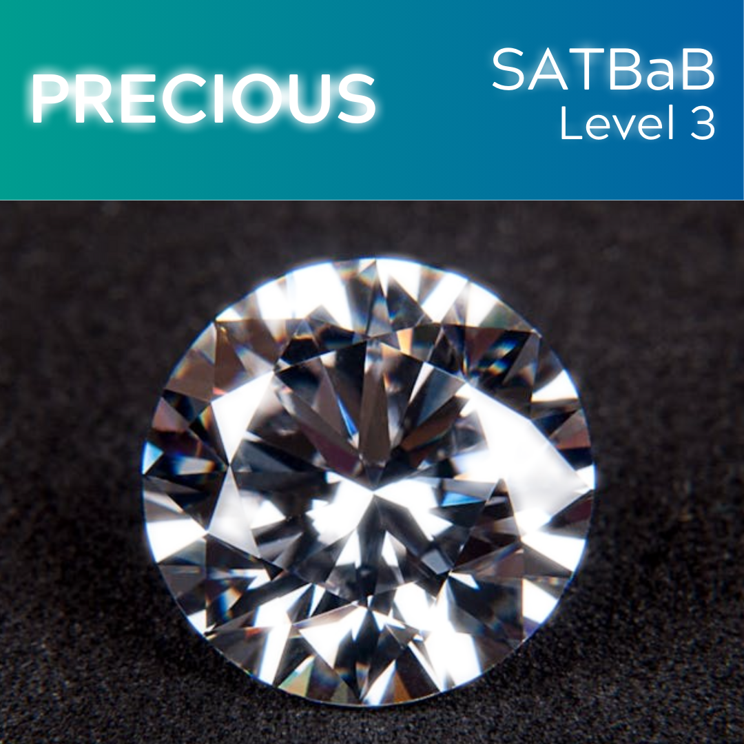 Precious (SSATB - L3)