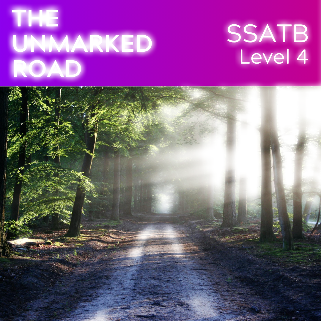 Die unmarkierte Straße (SSATB - L4)